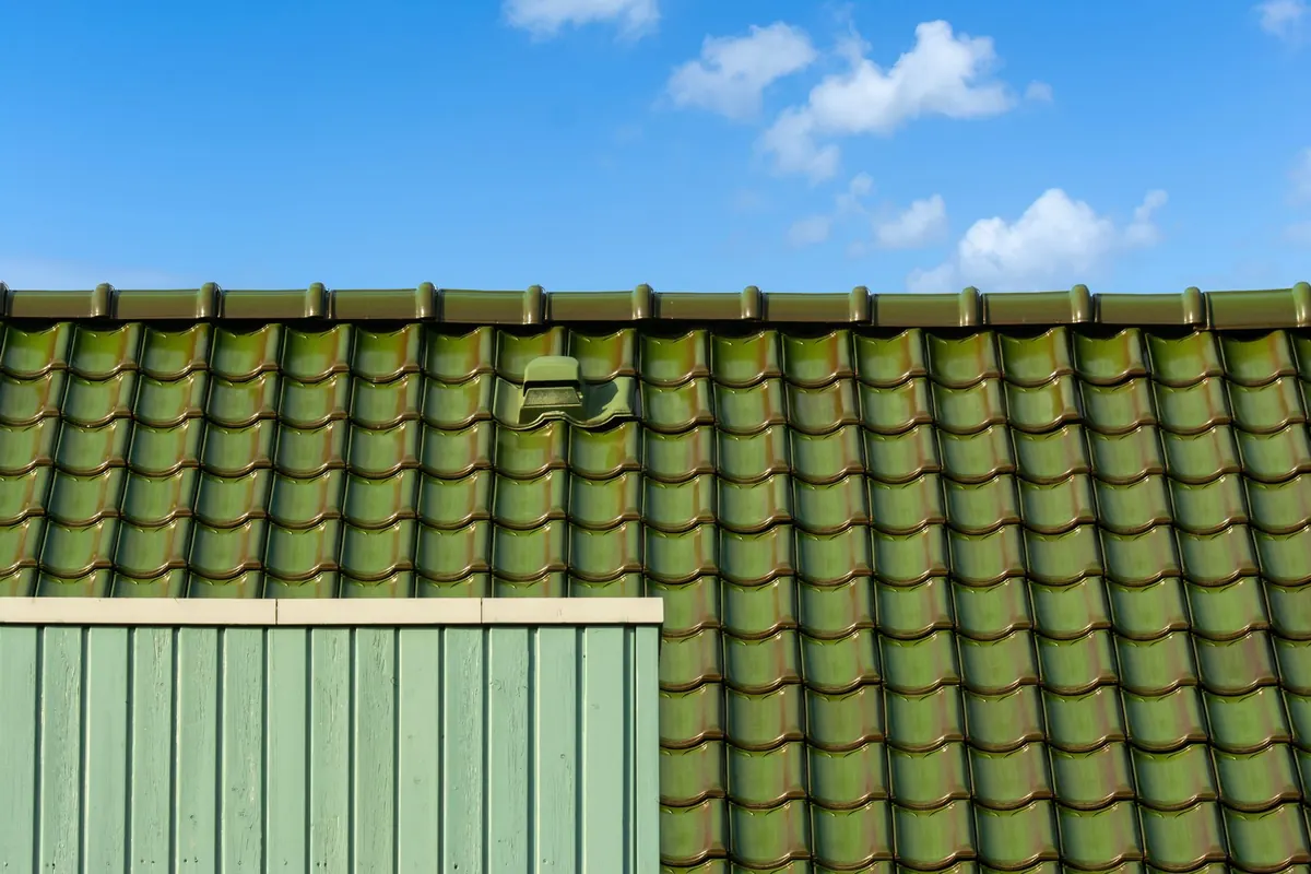 Green Roofs vs. Cool Roofs: Which Is Better for Urban Heat?